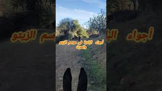 fes اكسبلور تطوان ouazzane ترند jbala لايك طنجة جبالة شمال tanger amazigh tetouan [upl. by Ennaylil127]