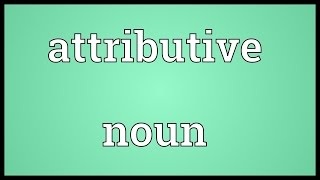 Attributive noun Meaning [upl. by Allehcram]