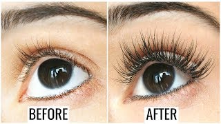 Grow Long Thick Strong Eyelashes amp Eyebrows  Tamil Beauty Tips [upl. by Ailimac]