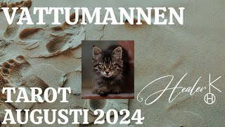 Vattumannen ♒️ Augusti 2024 Tarot  Healer K [upl. by Ashman]