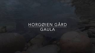 Laksefiske Horgøien 2018 HD [upl. by Tallula]