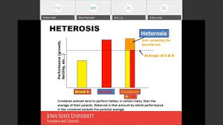 Heterosis Capturing the Benefits [upl. by Aytnahs854]