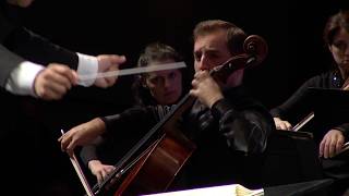 Elgar Cello Concerto mvt 3 [upl. by Libna606]