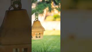 Homes For Feathered FriendsChoosing The Right Birdhouse [upl. by Pinelli]