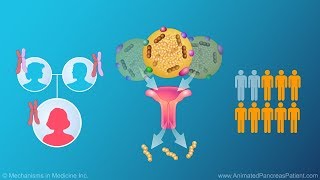 Diagnosing Familial Chylomicronemia Syndrome FCS [upl. by Neik]