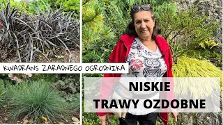 Niskie trawy ozdobne [upl. by Artemisia]