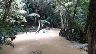 SüdThailand  Dschungeltour Khao Sok Nationalpark  asianworldch [upl. by Aroled93]