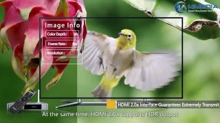 HiMedia Q5 Pro Profile 1080P [upl. by Ihcehcu]