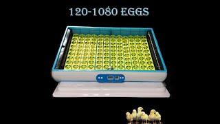 New Arrival H series incubator 1201080 eggs [upl. by Nedgo]