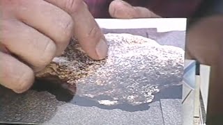 100k Gold Nugget found in Georgia by GPAA Member  GPAA Archives [upl. by Otreblig672]