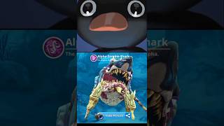 Noot Noot Pingin Reaction Hungry Shark [upl. by Baerman]