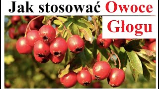 Jak Stosować Owoce Głogu [upl. by Goodhen897]