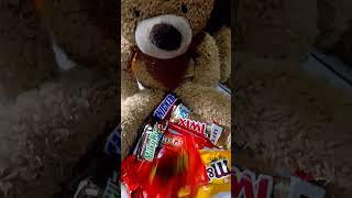 BEAR AND CHOCOLATES shortsvideo subscribe like share fyp fypシ゚viral chocolate bear seo [upl. by Noteek]