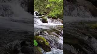 Majestic view of Balea Cascada waterfall in Fagaras mountains Romania [upl. by Kcirdor272]