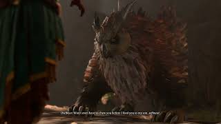 What If You Talk To The Owlbear With Animal Handling [upl. by Eylhsa]