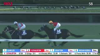 2021 The Japan Cup 2400M  Tokyo JPN  Contrail G1 [upl. by Durware]