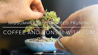 Bonsai Speed Pruning On A Midsummer Night [upl. by Hutchings]