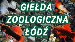 GIEŁDA ZOOLOGICZNA ŁÓDŹ 20232024 RELACJA [upl. by Annocahs]