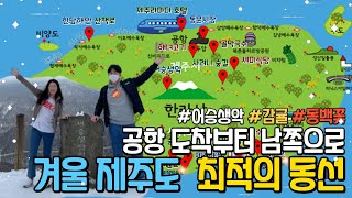 따라만가도 동선 낭비없는 최적의 겨울제주도 남쪽코스 14곳 추천 [upl. by Niad]