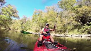 Minnows and Monsters CalfKiller River Sparta TN Fishing [upl. by Rainah]