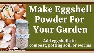 Powder your eggshells to add to potting soil garden or worms [upl. by Nnaear]