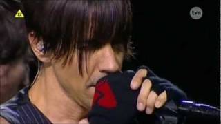 Red Hot Chili Peppers  By The Way  Live in Poland HD [upl. by Cindi]