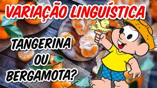 VARIAÇÃO LINGUÍSTICA [upl. by Eytteb508]