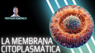 MEMBRANA CITOPLASMÁTICA bacteriana en 5 min [upl. by Brandais]