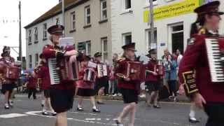 Twelfth July Dungannon 2014 [upl. by Raynata566]