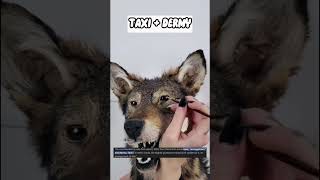 Taxidermy Explained in 60 Seconds [upl. by Amadus]