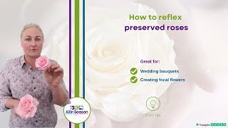 DIY TIP 🌹 How to reflex a preserved rose [upl. by Jacobo]