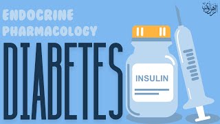 Endocrine Pharmacology AntiDiabetics [upl. by Eatnuahs162]