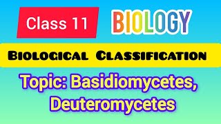 Class 11  Biology Biological Classification Topic Basidiomycetes Deuteromycetes ncert [upl. by Tobe334]