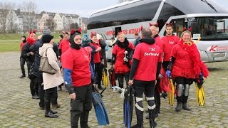 Rheinschwimmen Düsseldorf 2014 [upl. by Eul]