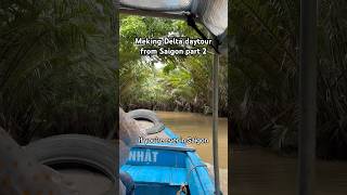 Mekong Delta daytour from Saigon part 2 vietnam hcmc mekongdelta travel solo shorts food [upl. by Iram]