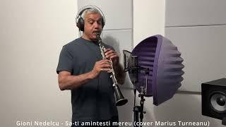 Sati amintesti mereu cover Marius Turneanu [upl. by Dulcea]