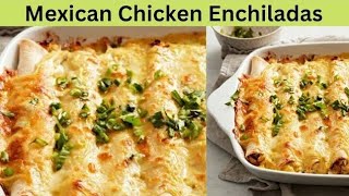 Easy Chicken Enchiladas with Homemade Red Sauce  Authentic Mexican Recipe  Zainab Food Studioquot [upl. by Gianina]