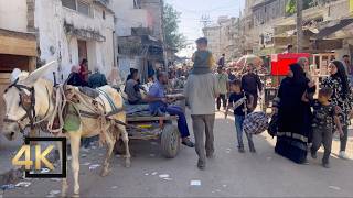 NEW VIDEO FROM GAZA 🇵🇸  14 Nov 2024  Gaza Palestine  Gaza During War  فلسطين غزة [upl. by Billie]