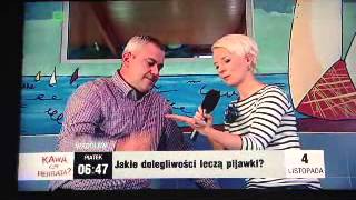 Pijawki w programie TVP Kawa czy Herbataquot Maciej Paruzel [upl. by Aimo952]