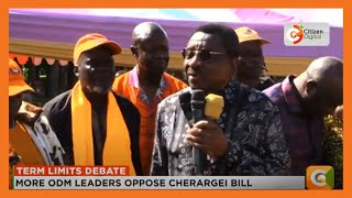 More ODM leaders oppose Cherargei bill [upl. by Westerfield424]