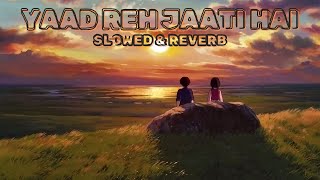 YAAD REH JAATI HAI  SLOWED amp REVERB [upl. by Latia]