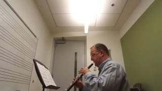 testing an oboe with the Marcello oboe concerto slow movement [upl. by Farrica844]