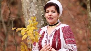 Irina ZoicanBanii naduc fericireOfficial Video NOU [upl. by Yelrehs]