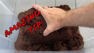 Coco Coir and Coconut Pete  Container Garden Transformation [upl. by Alrahc]