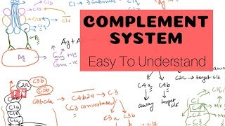 Complement System OR Complement Pathways  Easy to Understand [upl. by Averell795]