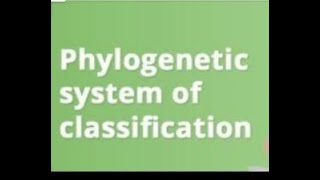 Phylogenetic System of Classification  Biological Classification 2nd chapter of class 11th ncert [upl. by Hajile626]