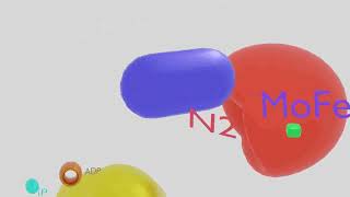 Nitrogenase Enzyme Animation Enzyme Action [upl. by Siegfried]