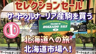 競馬・馬主セレクションセール参加へ北海道への旅 北海道市場 [upl. by Iy]