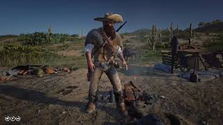 How to get perfect pelt for Gila Monster  Iguana in RDR2 New Austin [upl. by Orms]