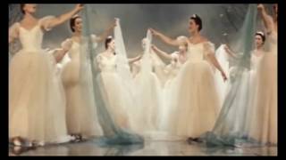 Березка Вальс Балет Лучшее Beriozka Waltz Ballet Best Russian music [upl. by Simson]